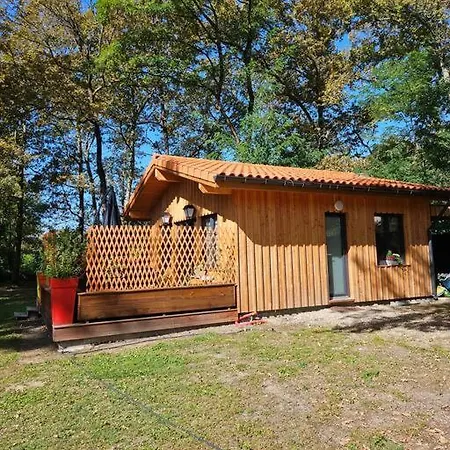 Bacchus, Au Coeur Du Sauternais Villa Noaillan Buitenkant foto